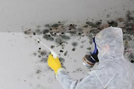 Mold Remediation for Rental Properties in Mount Cob, PA